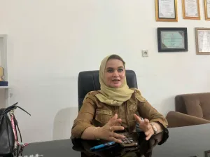 Pusat Kuliner Taman Folder Ilham Maulana Menggeliat, Lurah Teluk Lingga Fokuskan Izin Usaha